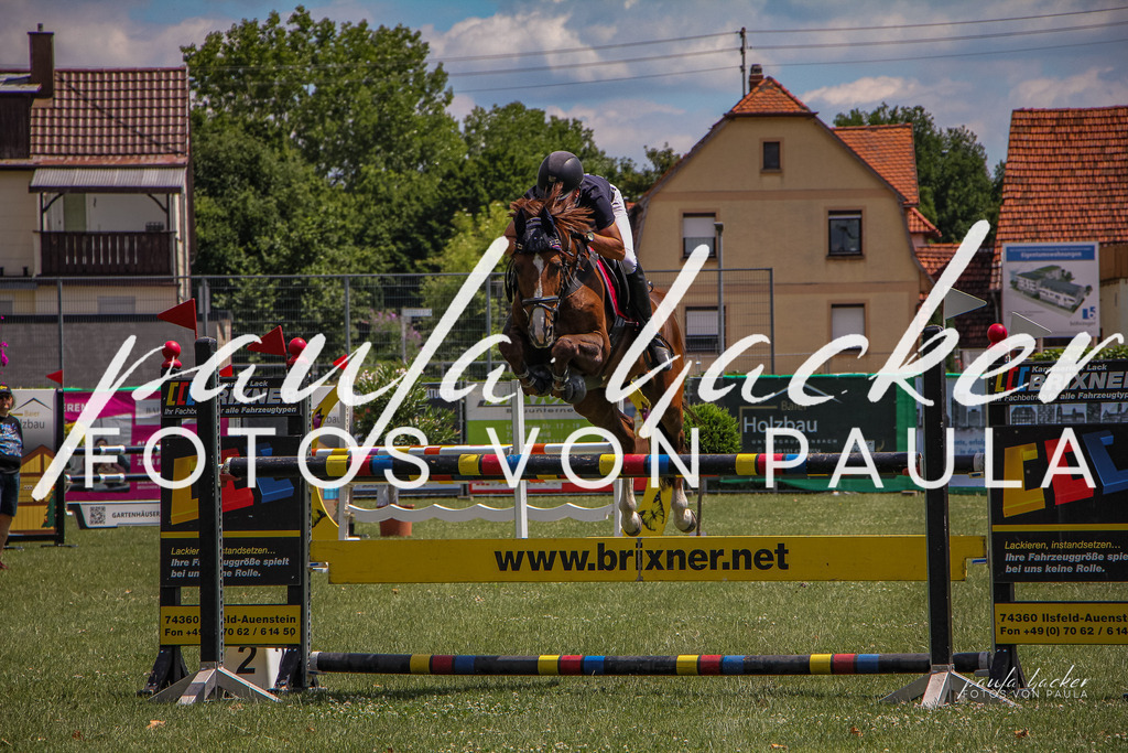 IMG_9426 | Erleben Sie dynamische Sport- und emotionale Tierfotografie in Süddeutschland mit Fotos von Paula. Spezialisiert auf Pferde- und Hundefotografie sowie Sportevents. Kontaktieren Sie mich für einzigartige und ausdrucksstarke Bilder Ihrer besonderen Momente. - Realisiert mit Pictrs.com