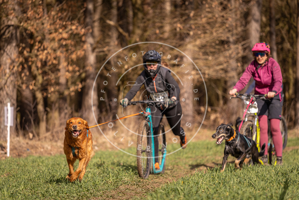DV3A6122 | Hundefotografie, Tierfotograf, Pfotenfotografie, Fotoshooting Hund, Hunde Portrait, Hundesport, Hundeportraits, Heideshooting, Hunde, Sportfotograf, Hundefotograf, Turnierhundsport, THS,  - Realisiert mit Pictrs.com