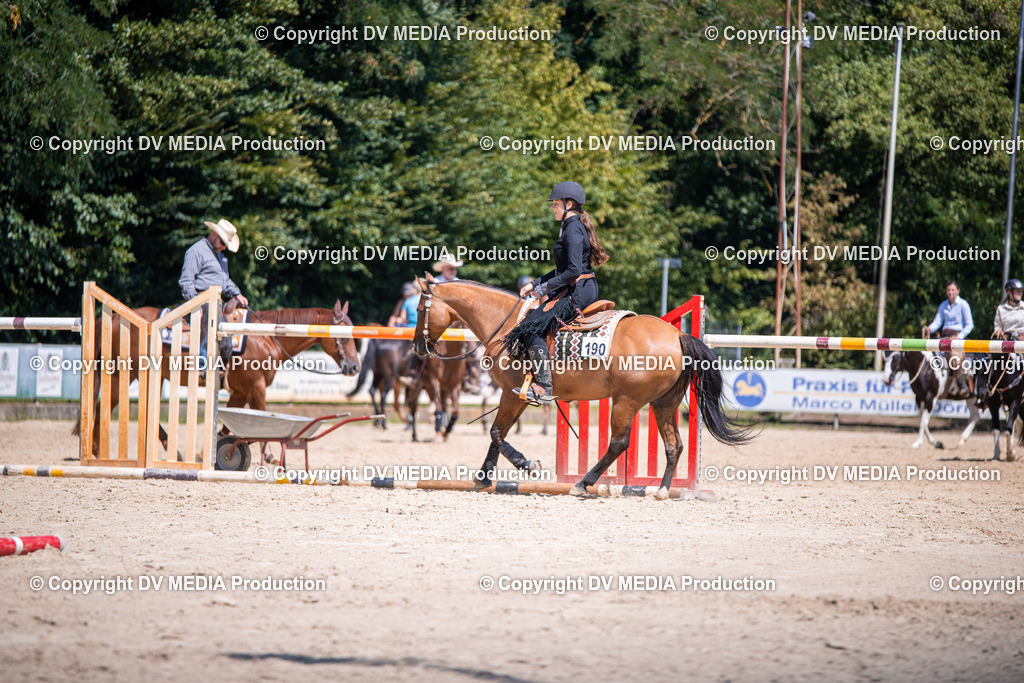 ZS1_1271 | dv-media-shop - Realisiert mit Pictrs.com