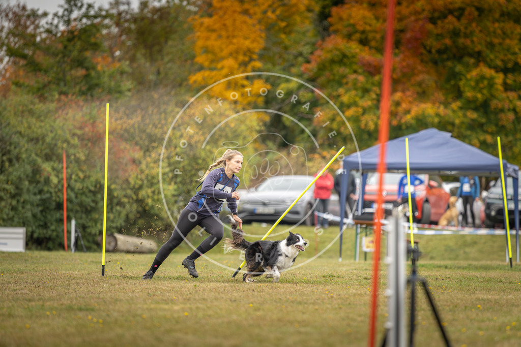 Pfotenfotografie_DV3A4047 | Hundefotografie, Tierfotograf, Pfotenfotografie, Fotoshooting Hund, Hunde Portrait, Hundesport, Hundeportraits, Heideshooting, Hunde, Sportfotograf, Hundefotograf, Turnierhundsport, THS,  - Realisiert mit Pictrs.com