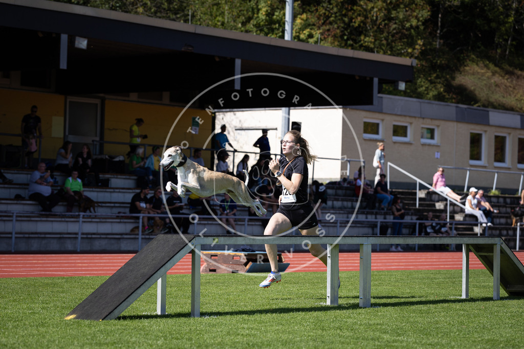 Pfotenfotografie_DV3A8654 | Hundefotografie, Tierfotograf, Pfotenfotografie, Fotoshooting Hund, Hunde Portrait, Hundesport, Hundeportraits, Heideshooting, Hunde, Sportfotograf, Hundefotograf, Turnierhundsport, THS,  - Realisiert mit Pictrs.com