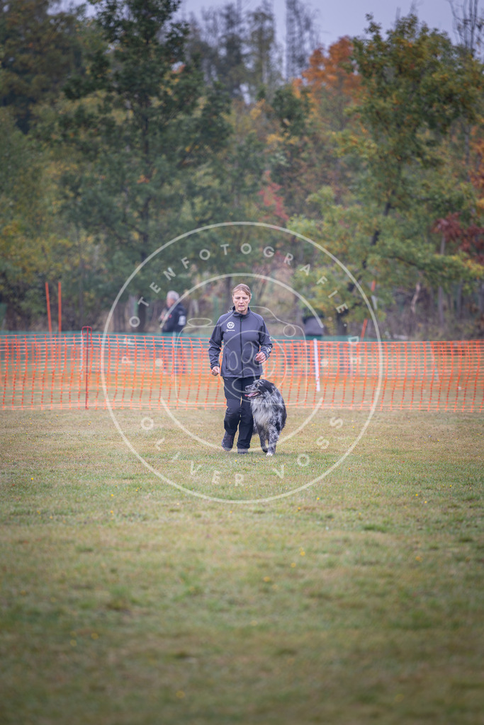 Pfotenfotografie_DV3A9434 | Hundefotografie, Tierfotograf, Pfotenfotografie, Fotoshooting Hund, Hunde Portrait, Hundesport, Hundeportraits, Heideshooting, Hunde, Sportfotograf, Hundefotograf, Turnierhundsport, THS,  - Realisiert mit Pictrs.com