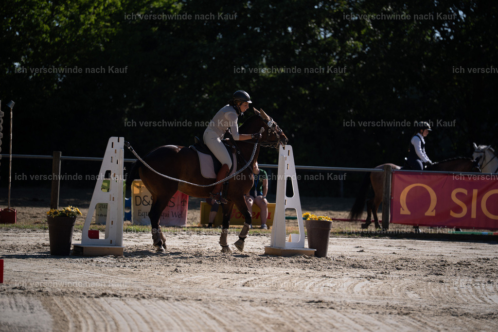 WL_SP_74_Stoibphotography_SO14689 | working equitationturnier fotograf videograf stoibphotography marixx film working equitation deutschland reitsport turnierfotografie eventfotografie equestrian events