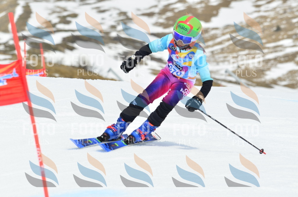 _ELE3019 | holidayphoto