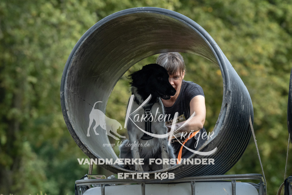 1141_ZZ90137 | kk-dogfotos