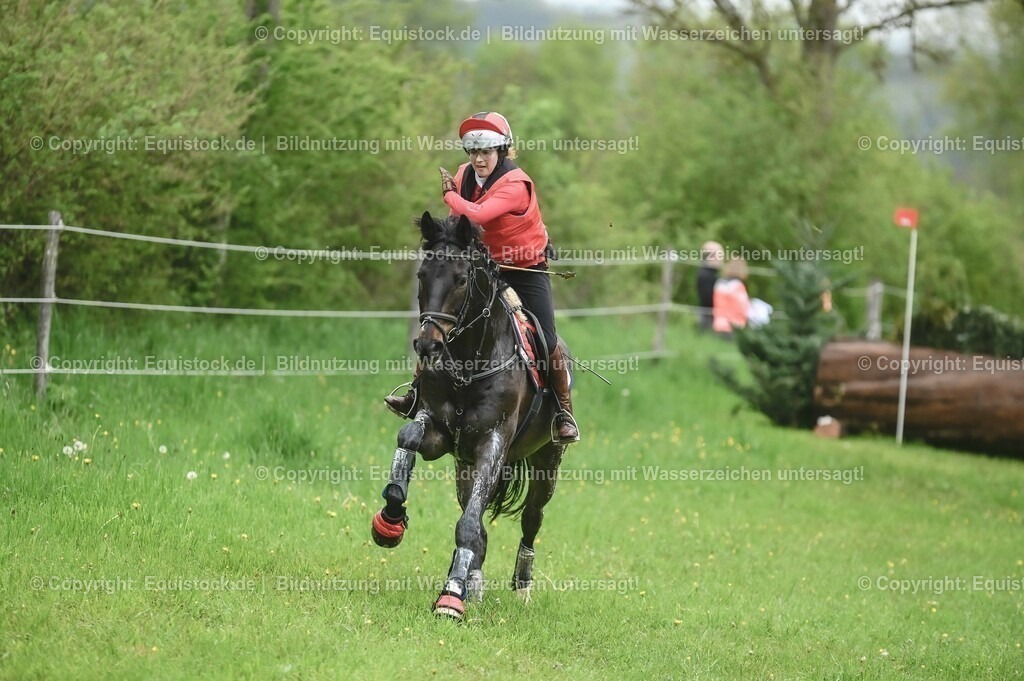 20230513_CCI2_Section1_0044 | equistock