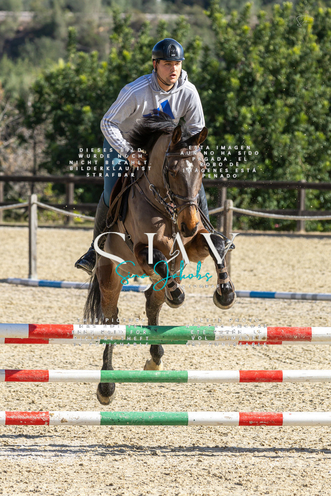 IMG_3817 | s-jay-photography - Realisiert mit Pictrs.com