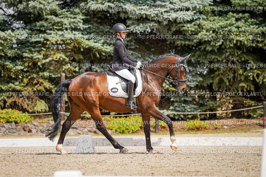 DSC03088 | Pferdegrafie