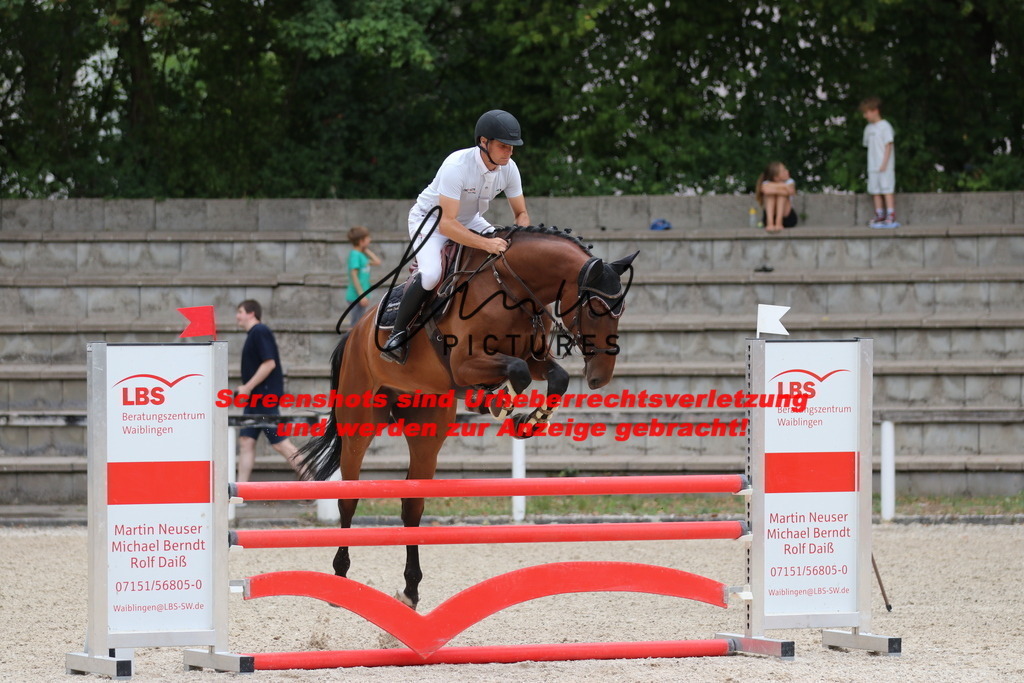 IMG_7837 | lmwpictures - Realisiert mit Pictrs.com