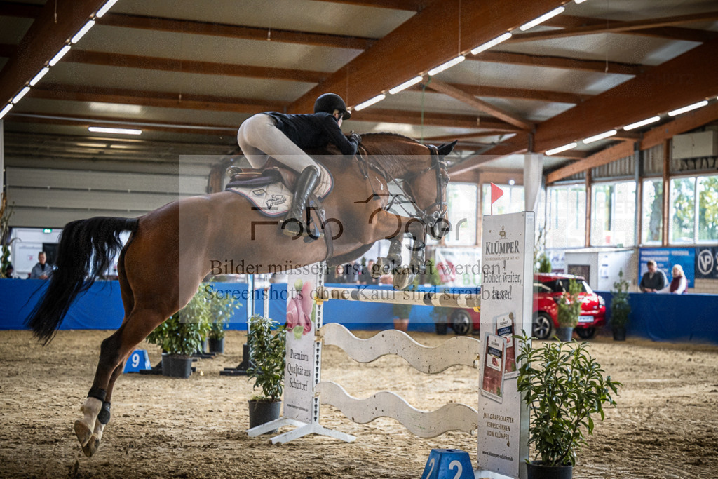 DOS_0836 | Entdecke hochwertige Reitturnierfotos von Foto Oger. Professionell, emotional und authentisch – jetzt Lieblingsmomente im Shop bestellen.Deutschlandweite Turnierfotografie. - Realisiert mit Pictrs.com