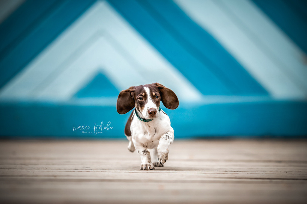 4M7A9677 | maris-fotoliebe - Realisiert mit Pictrs.com