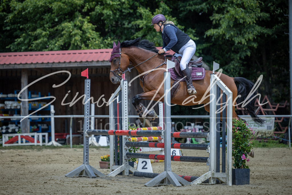 20260704-_3LI9570 | Tierfotografie Pferde, Hunde, Katzen, Haustiere.
Turnierfotografie Reitturniere, Reiten, Springreiten, Dressur in Hanau, dem Main-Kinzig-Kreis und dem Rhein-Main- Gebiet um Frankfurt