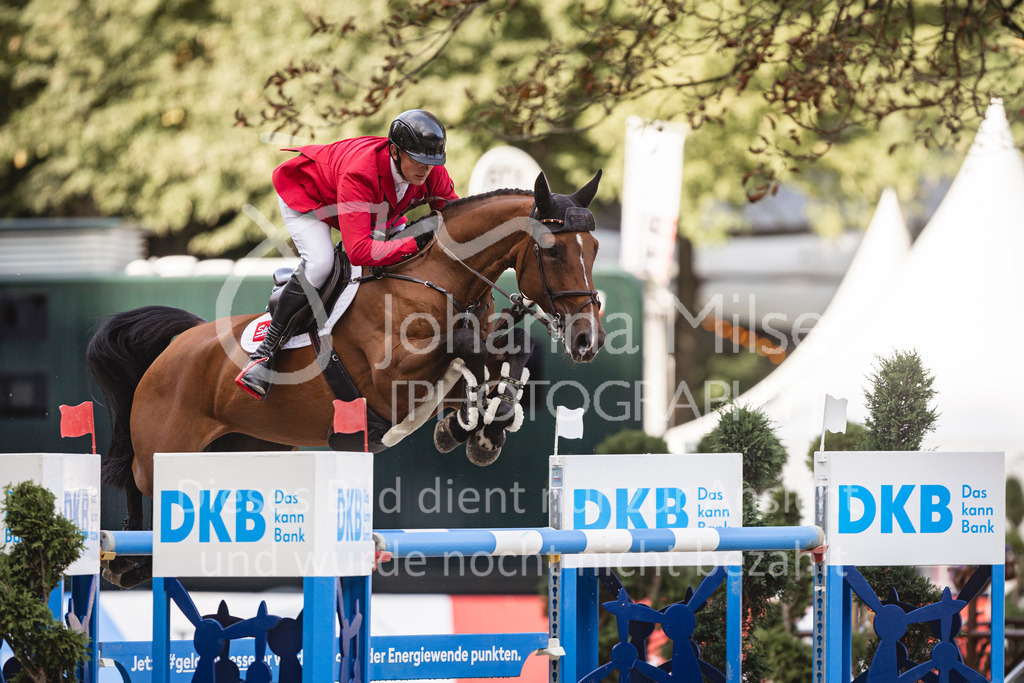 240915_OWLCh_Championat-711 | Deine schönsten Turniermomente als professionelle Fotos! Entdecke hochwertige Pferdesport-Fotografie im Online-Shop. Jetzt Fotos finden & bestellen!