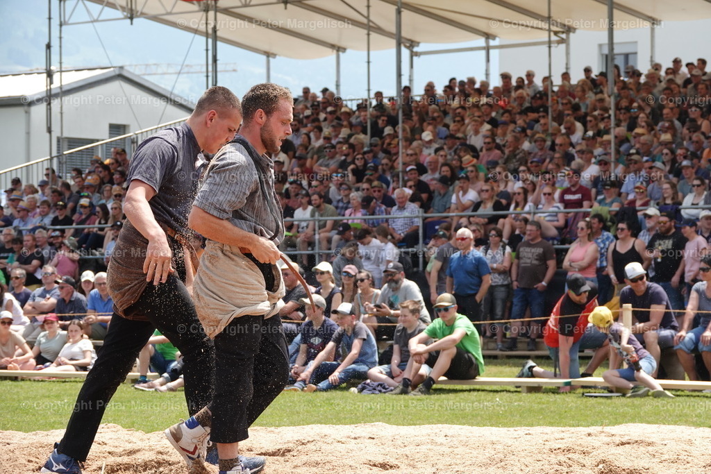 DSC04575 | Schwingen - Realisiert mit Pictrs.com