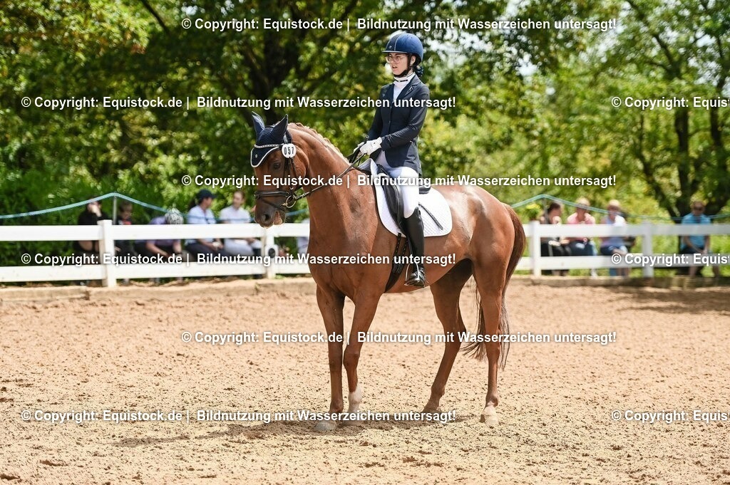 20230716_03_Dressurprfg. Kl.L - Tr._0301 | equistock
