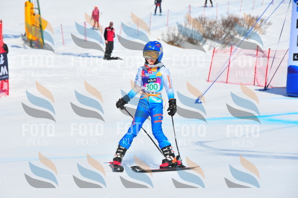 DSC_0709 | holidayphoto