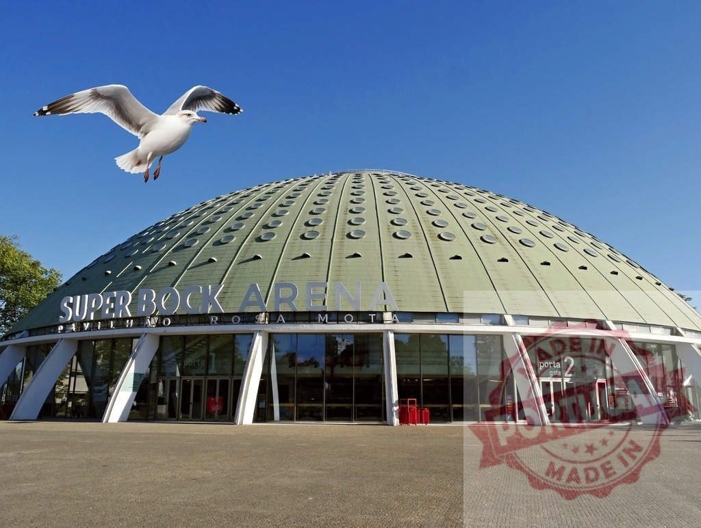 Seagull flying over Super Bock Arena in Porto | Seagull flying near the domed roof of the Super Bock Arena, Pavilhão Rosa Mota - Realized with Pictrs.com