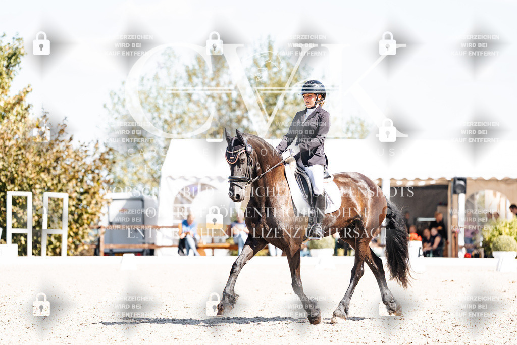 CK904023 | Turnierfotografie Pferdefotografie Trier Rheinland-Pfalz Pferdesport Reitsport Tierfotografie Sportfotografie Pferdevideo Pferdevideografie Equestrianvideography equestrianphotography  - Realisiert mit Pictrs.com