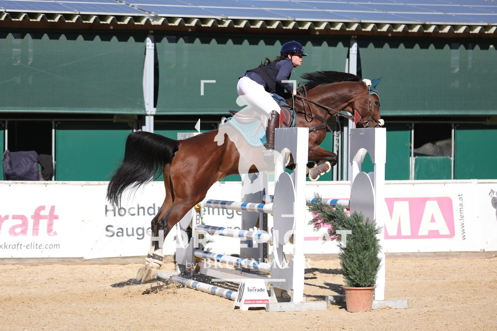0P6A0815 | Willkommen bei Brunnmayr - Design & Fotografie – Ihrem Spezialisten für Reitturniere und Pferdeveranstaltungen in Oberösterreich, Salzburg und Bayern! Seit über 17 Jahren sind wir leidenschaftlich dabei.