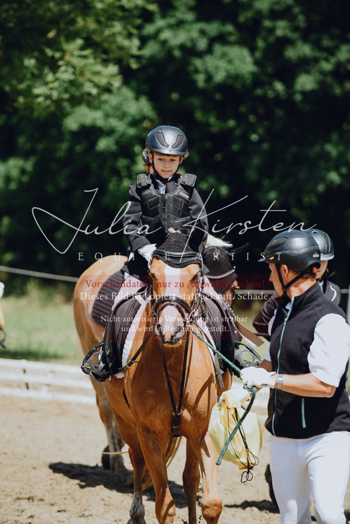DSC_2702 | Pferde- und Turnierfotografie in Westsachsen. Pferdeportraits, Auftragszeichnungen und intuitive Kunst.