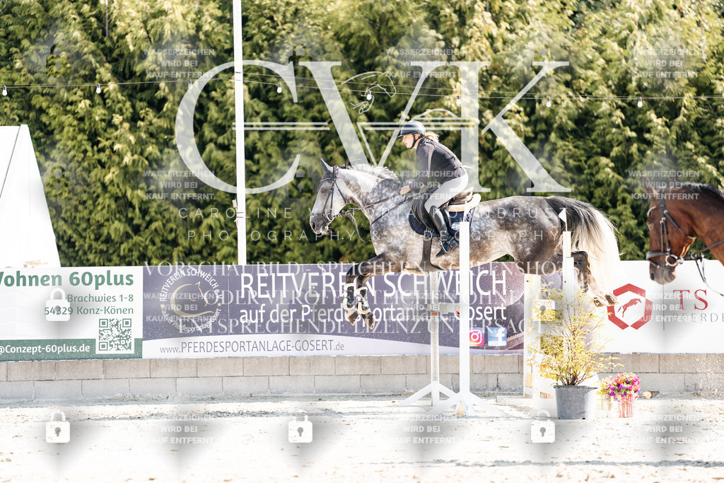 CK902629 | Turnierfotografie Pferdefotografie Trier Rheinland-Pfalz Pferdesport Reitsport Tierfotografie Sportfotografie Pferdevideo Pferdevideografie Equestrianvideography equestrianphotography  - Realisiert mit Pictrs.com