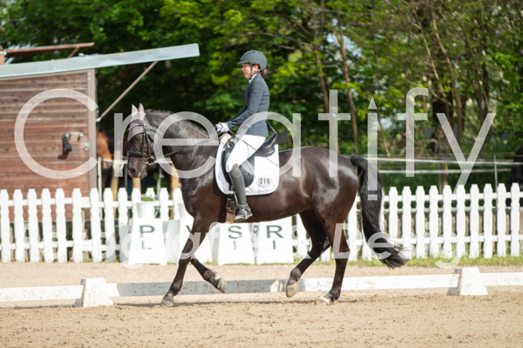 IMG_3849 | Creatify Fotografie