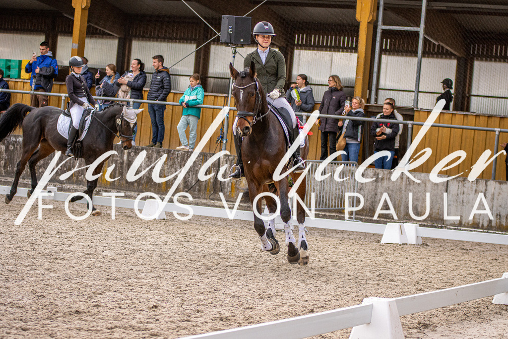 IMG_3068 | Erleben Sie dynamische Sport- und emotionale Tierfotografie in Süddeutschland mit Fotos von Paula. Spezialisiert auf Pferde- und Hundefotografie sowie Sportevents. Kontaktieren Sie mich für einzigartige und ausdrucksstarke Bilder Ihrer besonderen Momente.