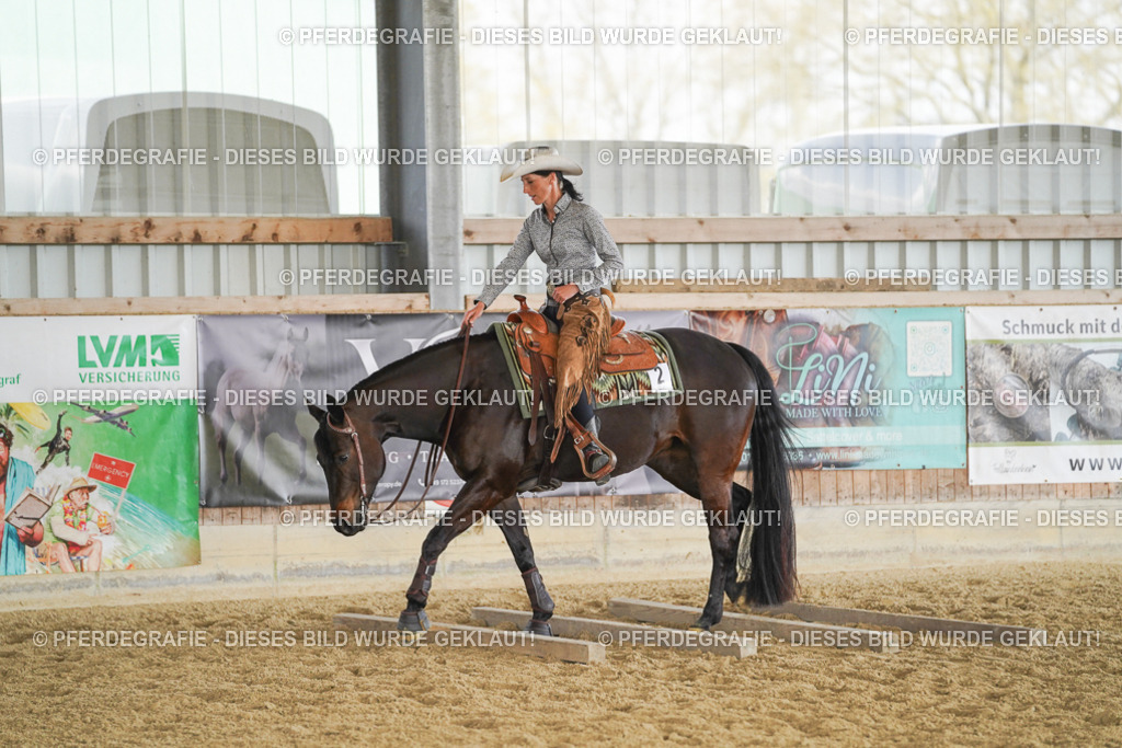 DSC02161 | Pferdegrafie