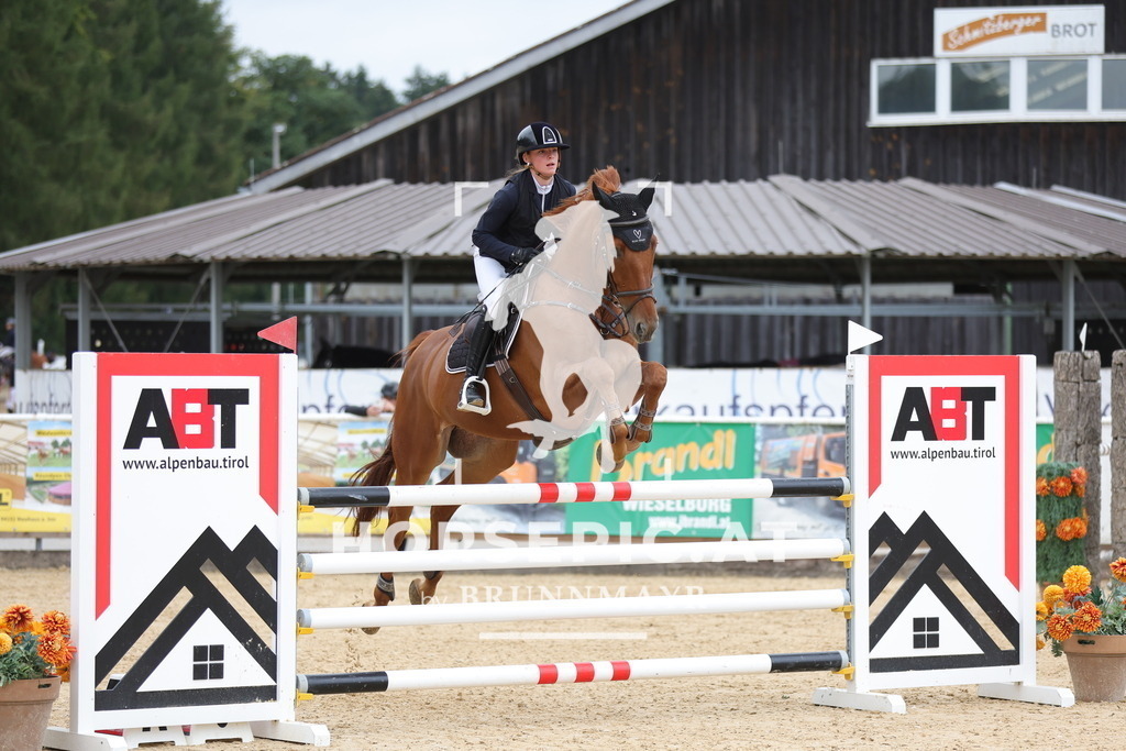 0P6A7857 | Willkommen bei Brunnmayr - Design & Fotografie – Ihrem Spezialisten für Reitturniere und Pferdeveranstaltungen in Oberösterreich, Salzburg und Bayern! Seit über 17 Jahren sind wir leidenschaftlich dabei.