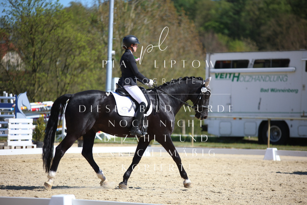 IMGT1795 | pl-fotografie