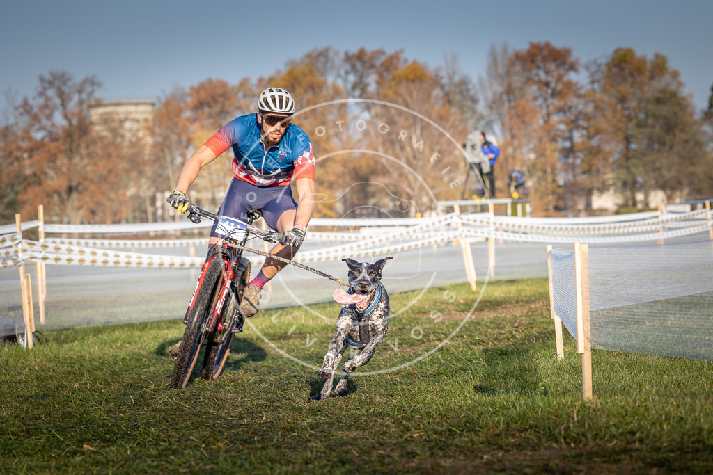 CaniXpix_0L8A4053 | Hundefotografie, Tierfotograf, Pfotenfotografie, Fotoshooting Hund, Hunde Portrait, Hundesport, Hundeportraits, Heideshooting, Hunde, Sportfotograf, Hundefotograf, Turnierhundsport, THS,  - Realisiert mit Pictrs.com