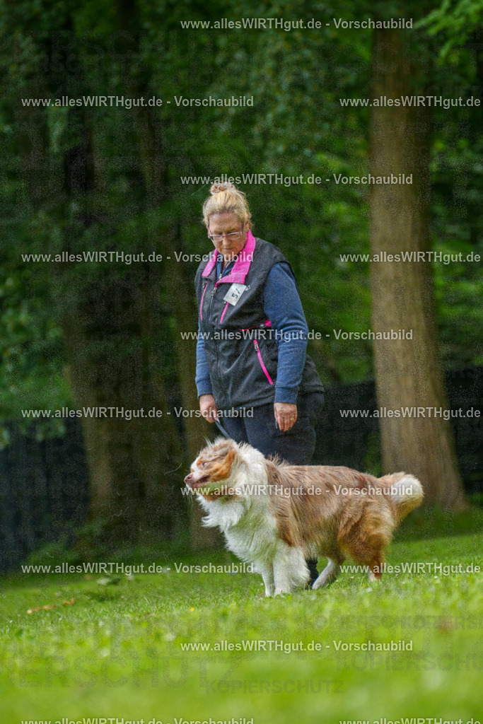 @allesWIRTHgut_Tierfotografie - www.allesWIRTHgut.de - 7R501193 | Professionelle Tierfotografie in Mönchengladbach von Daniel Wirth (allesWIRTHgut). Liebevolle & natürliche Bilder von Hunden & Katzen für unvergessliche Erinnerungen.