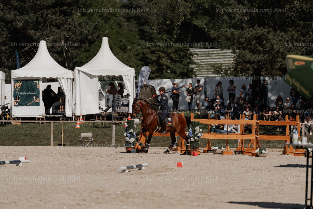 WE_ST_Stoib_340_PI2025_1385 | 330Pferd International München 2025