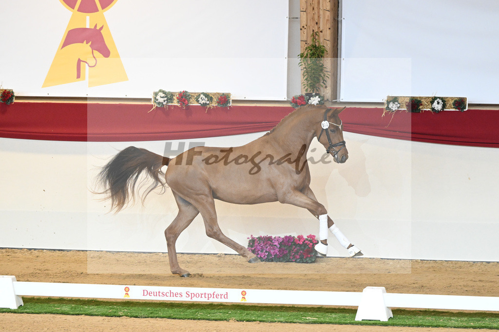 Kat-Nr. 73 Vaderland_Galneder_1230425 | hf-fotografie - Realisiert mit Pictrs.com