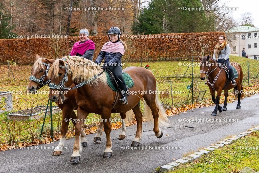 LL25-105 | foto-bettina-krinner - Realisiert mit Pictrs.com