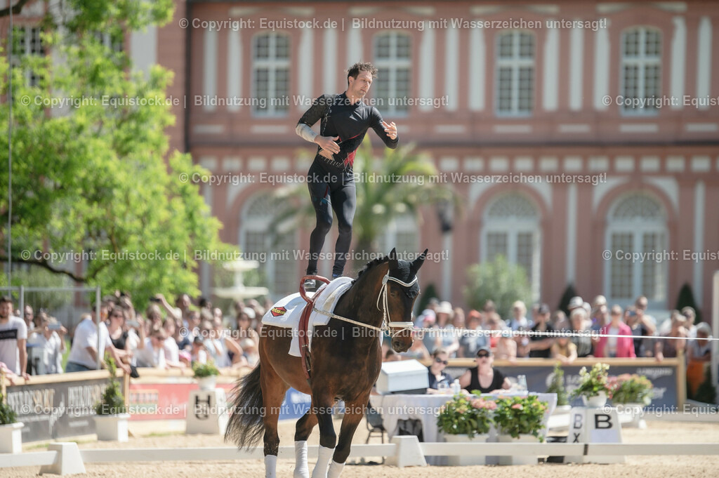 20230528_Voltigieren_NASPA_0129 | equistock