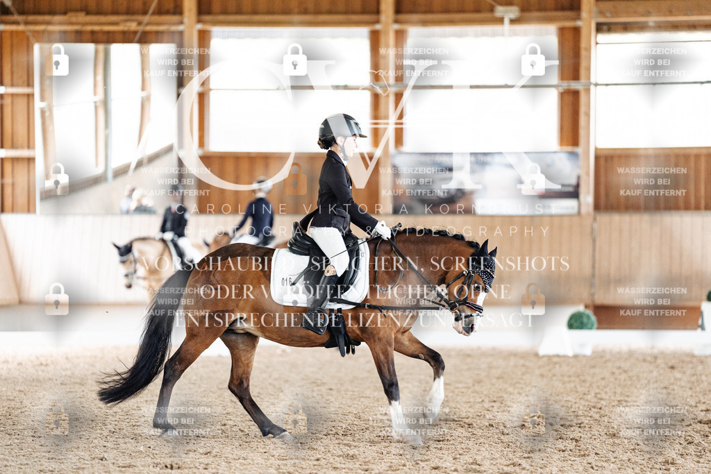 CK901464 | Turnierfotografie Pferdefotografie Trier Rheinland-Pfalz Pferdesport Reitsport Tierfotografie Sportfotografie Pferdevideo Pferdevideografie Equestrianvideography equestrianphotography  - Realisiert mit Pictrs.com