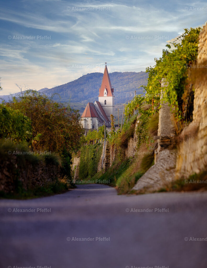 foto_c_pfeffel-partner-0053-R52_0021-Pano-Bearbeitet | alexander-pfeffel - Realisiert mit Pictrs.com