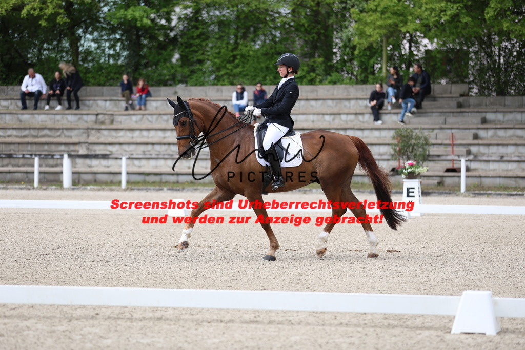 A40A4047 | lmwpictures - Realisiert mit Pictrs.com