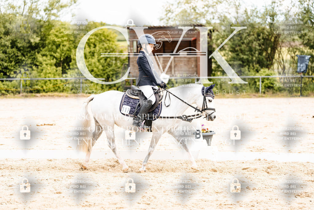 CK904482 | Turnierfotografie Pferdefotografie Trier Rheinland-Pfalz Pferdesport Reitsport Tierfotografie Sportfotografie Pferdevideo Pferdevideografie Equestrianvideography equestrianphotography  - Realisiert mit Pictrs.com