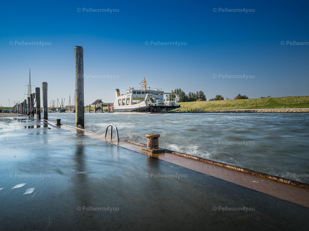 _9200659 | Pellwormer Bilder und Fotos als Poster, auf Leinwand mit Keilrahmen, hinter Acrylglas, auf Alu-Dibond oder Forex-Platte und vieles mehr. Zum verschenken, für die Ferienwohnung oder für zu Hause. - Realisiert mit Pictrs.com