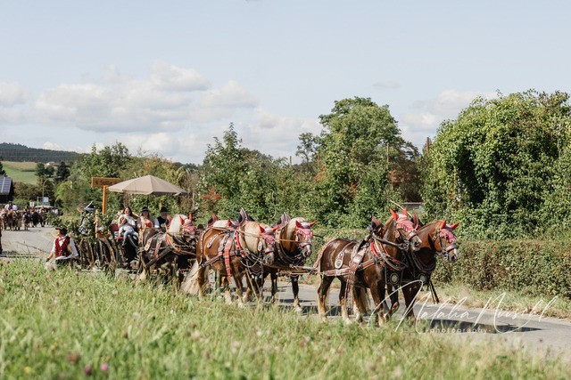 7V6A2737 | natalia-nirschl-photography