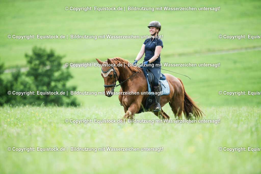 20210623_Reiten-auf-Wiese_0002 | Foto: Thomas Hartig