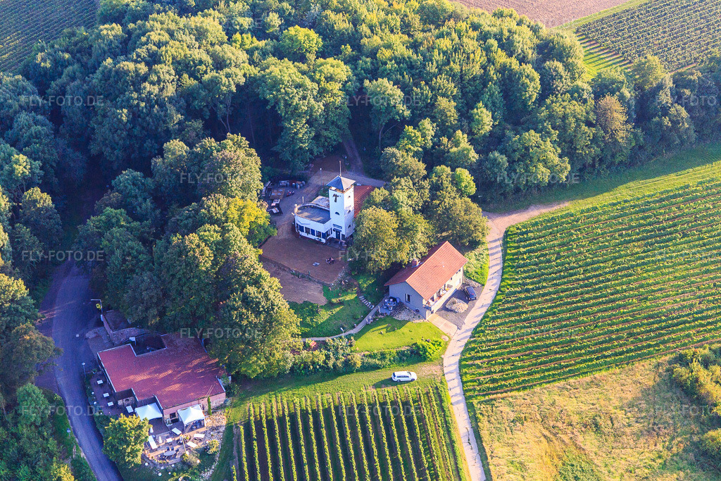 Luftbild: Stöckbauers Weinkastell und Turmlokal Am Kloppberg im Ortsteil Dittelsheim in Dittelsheim-Heßloch im Bundesland Rheinland-Pfalz in Deutschland. Foto: IMG_103161.jpg vom 29.08.2017 durch Werner Riehm/FLY-FOTO.deWEINKASTELL - KLOPPBERG