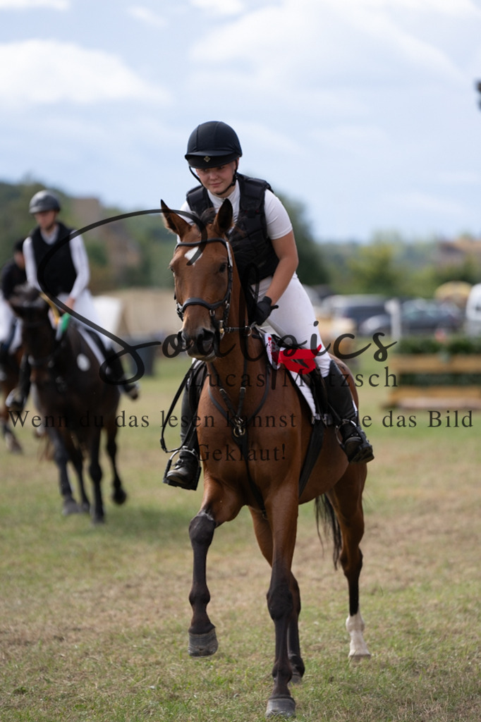 A7V00955 | Pferdefotograf