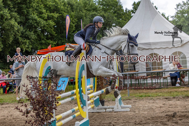 17.8 SP 27-2 A (447 von 616) | mandyhollmannphotographie