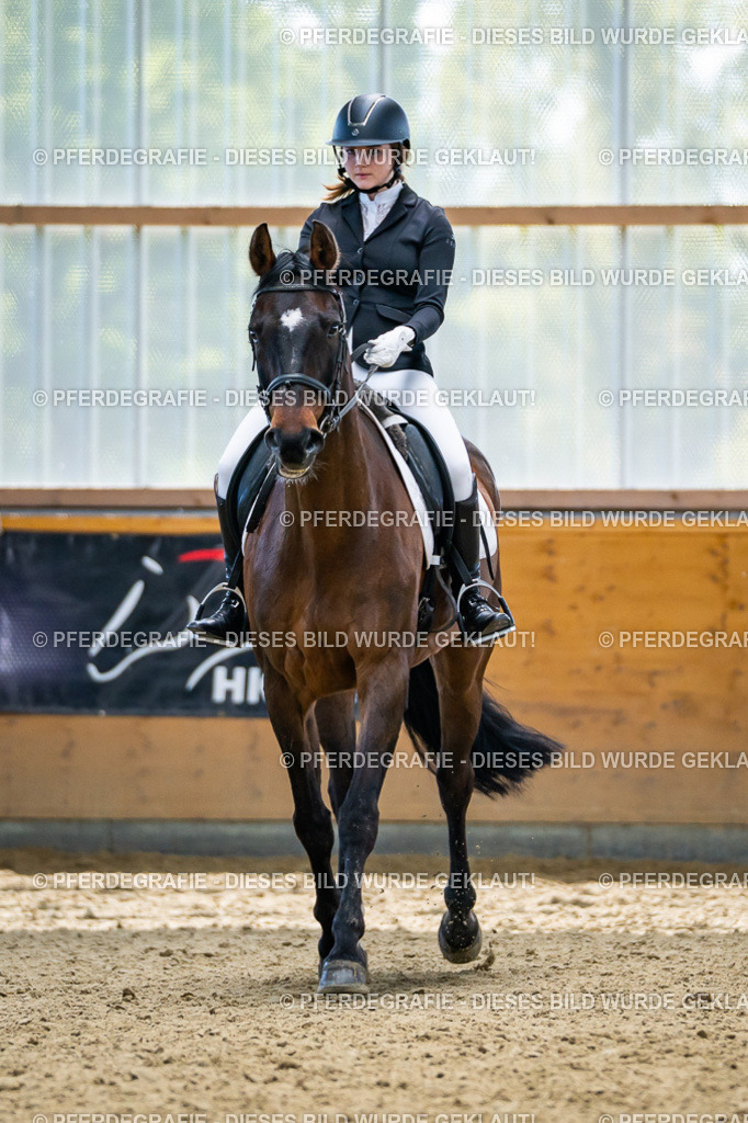 DSC05620 | Pferdegrafie