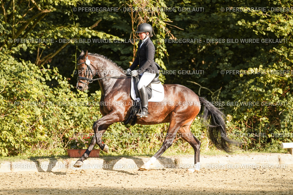 DSC05494 | Pferdegrafie