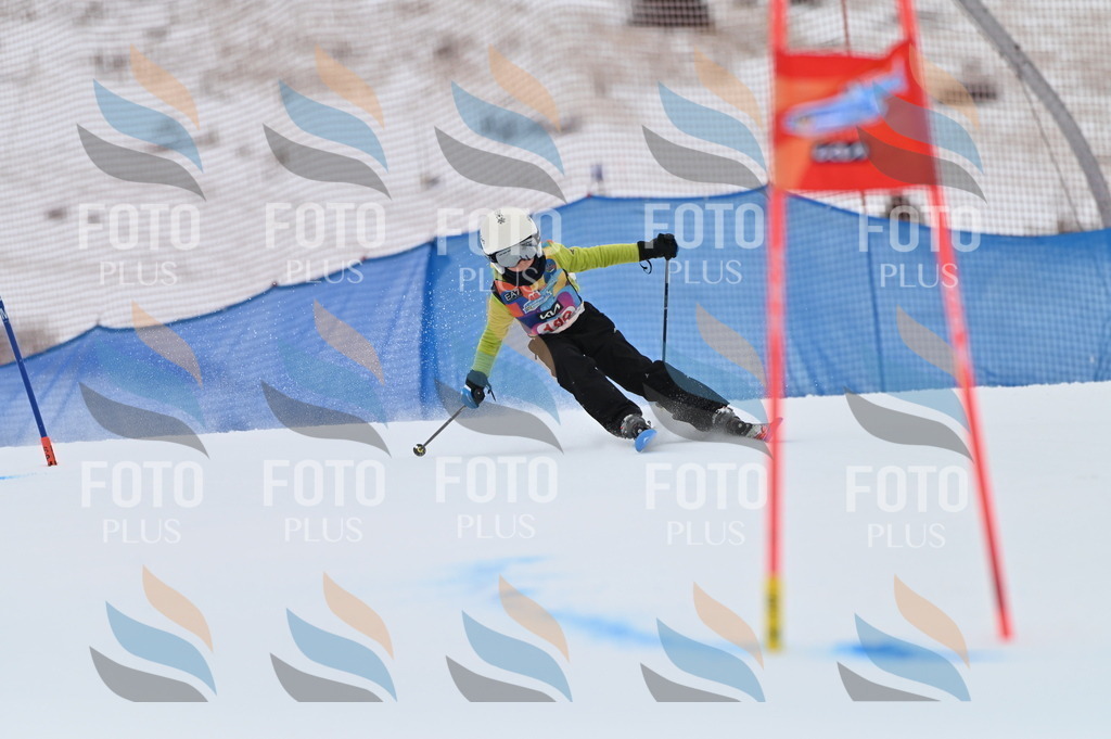 BGV_1803 | holidayphoto