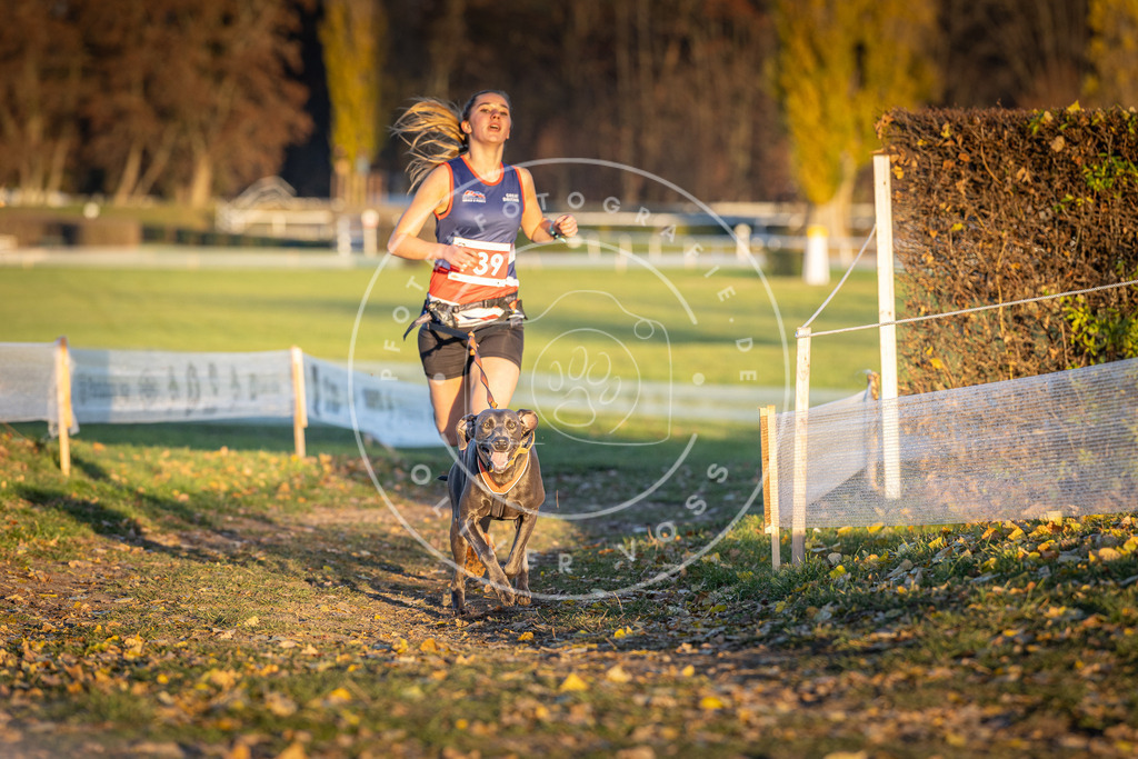 CaniXpix_DV3A5321 | Hundefotografie, Tierfotograf, Pfotenfotografie, Fotoshooting Hund, Hunde Portrait, Hundesport, Hundeportraits, Heideshooting, Hunde, Sportfotograf, Hundefotograf, Turnierhundsport, THS,  - Realisiert mit Pictrs.com
